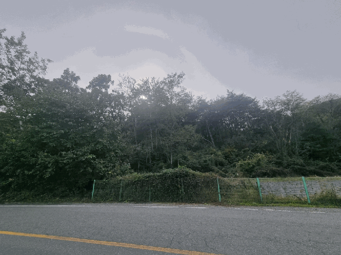 경상북도 영천시 고경면 파계리 산102