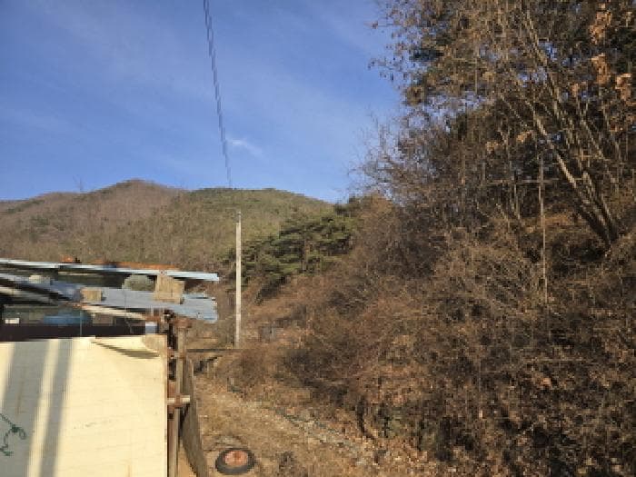 경상북도 영천시 임고면 사리 산171-7