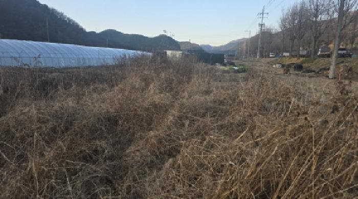 경상북도 칠곡군 동명면 금암리 1030-9
