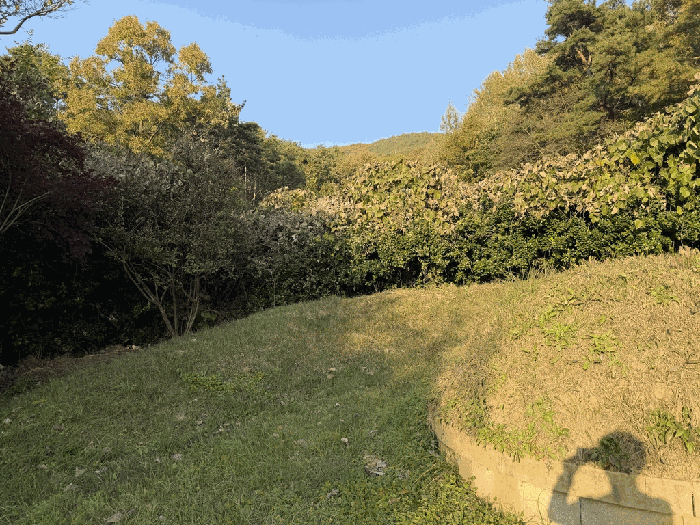 경상북도 청도군 금천면 소천리 472 외 1 필지