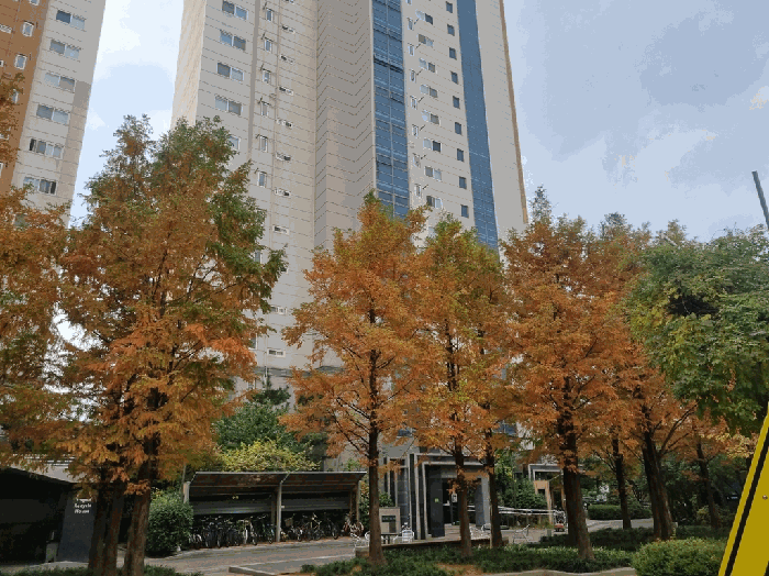 대구광역시 중구 삼덕동3가 383 삼덕청아람리슈빌 103동 3층302호
