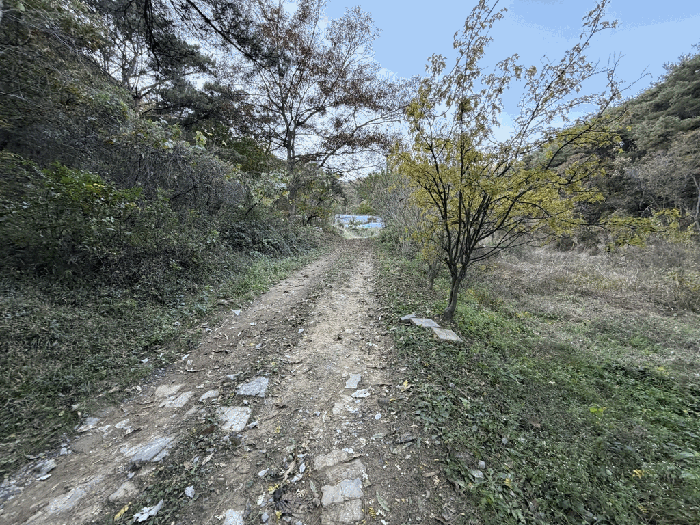 경상북도 칠곡군 지천면 낙산리 44