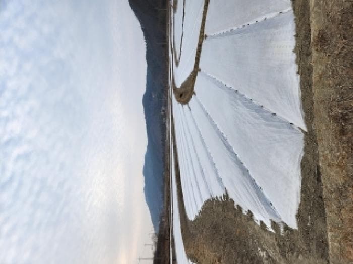 경상북도 영천시 신녕면 부산리 571