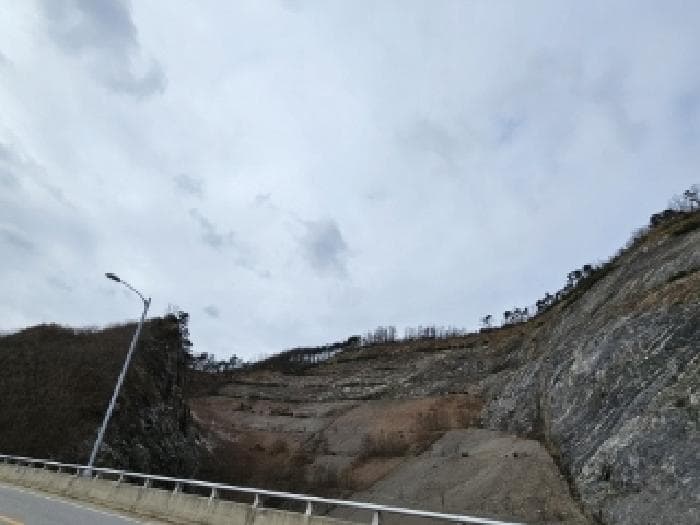 경상북도 영주시 평은면 금광리 산42-1 외 2 필지