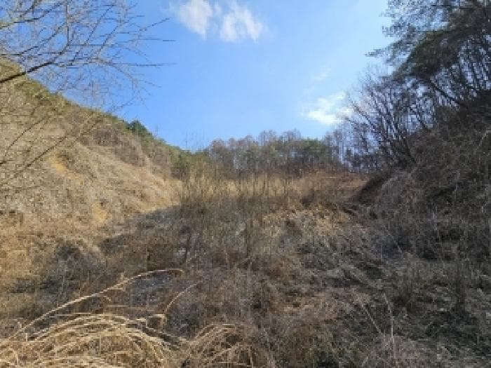 경상북도 영주시 평은면 오운리 1343 외 3 필지