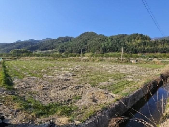 경상북도 봉화군 춘양면 도심리 321