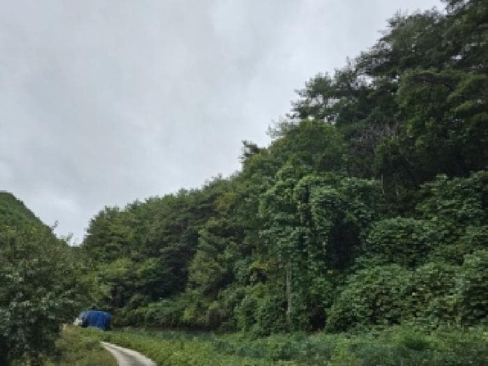 경상북도 봉화군 재산면 갈산리 산265
