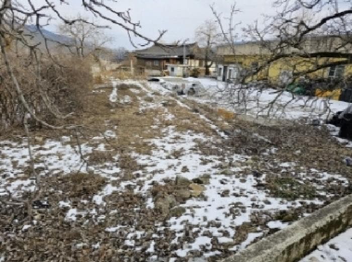 경상북도 봉화군 춘양면 도심리 762-5