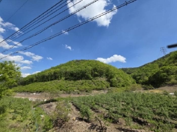경상북도 안동시 길안면 송사리 산68