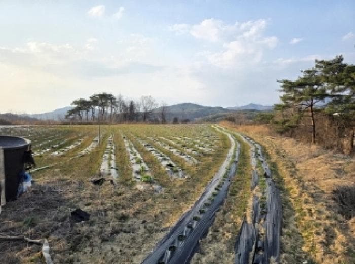 경상북도 안동시 풍산읍 괴정리 423