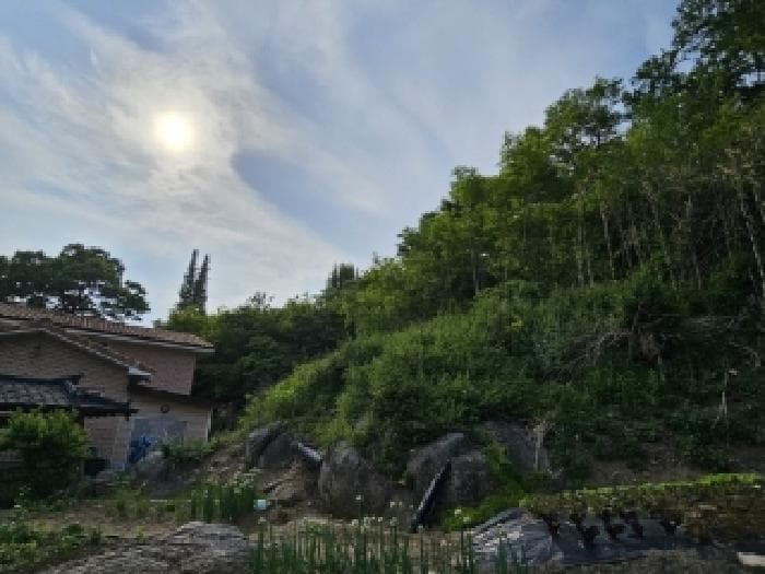 경상북도 봉화군 봉화읍 거촌리 530 외 2 필지