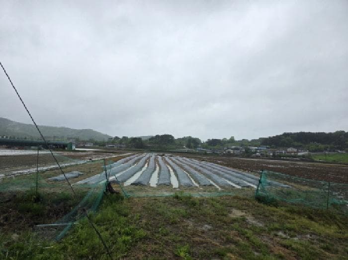 경상북도 안동시 풍천면 가곡리 4