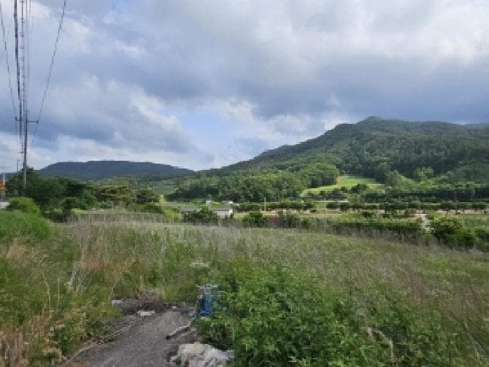 경상북도 봉화군 춘양면 애당리 119-4