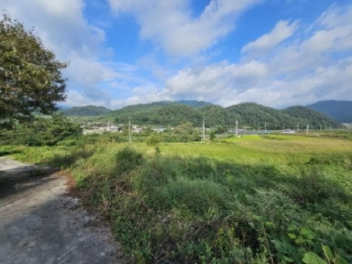 경상북도 영주시 풍기읍 금계리 248