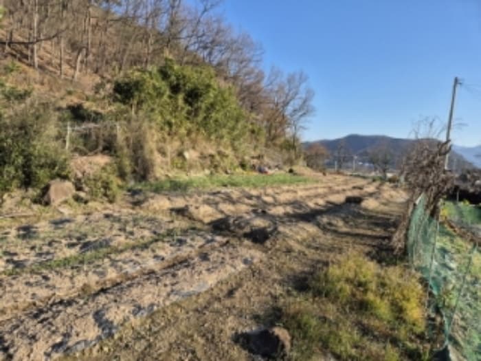 경상북도 경주시 산내면 신원리 1024