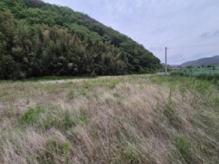 경상북도 경주시 감포읍 오류리 462