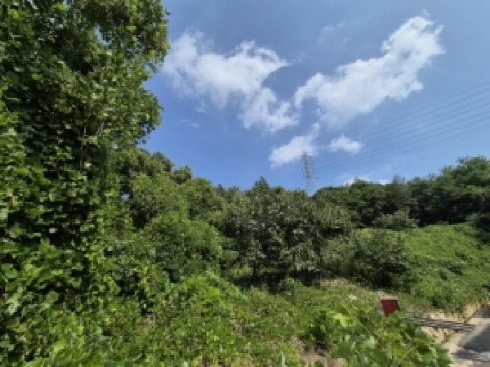 경상북도 경주시 외동읍 석계리 694