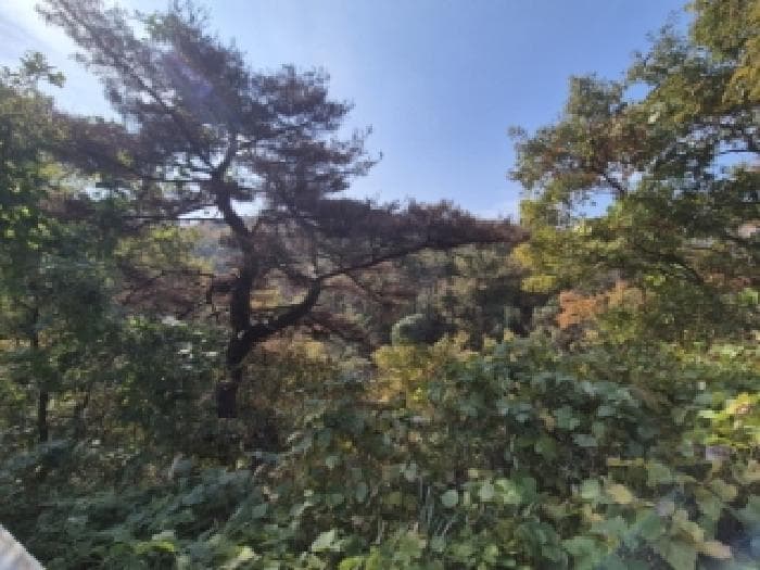 경상북도 경주시 양남면 효동리 산352 외 2 필지