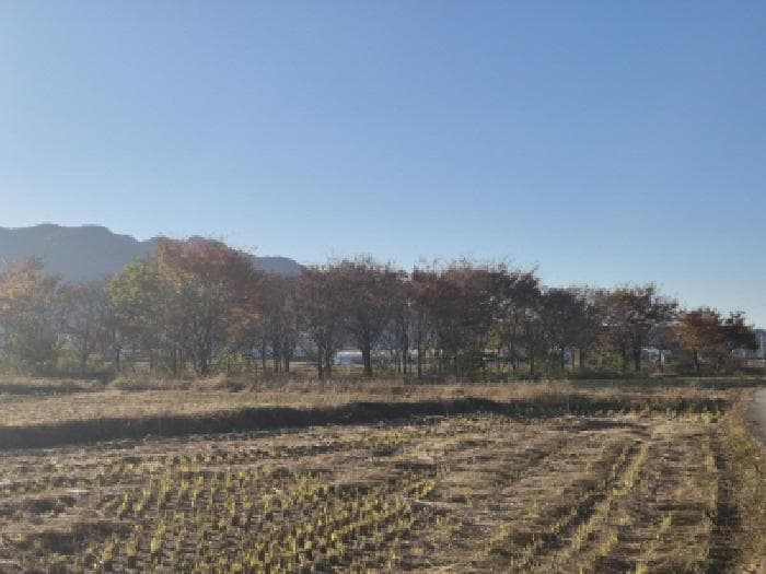 경상북도 경주시 건천읍 건천리 130 외 1 필지