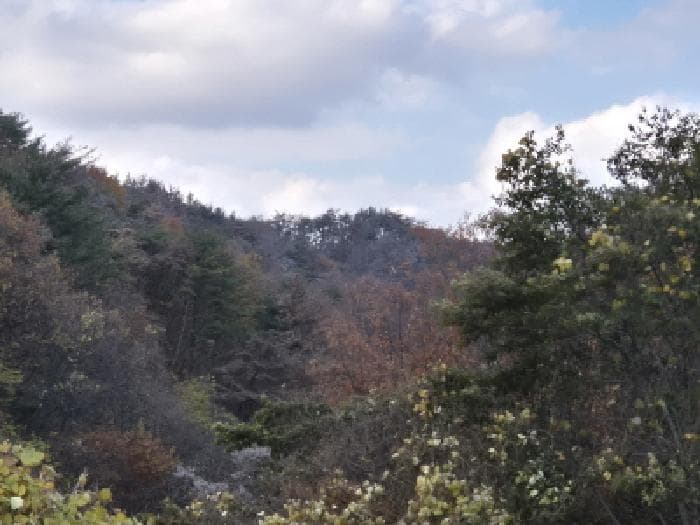 경상북도 경주시 양남면 상계리 산12