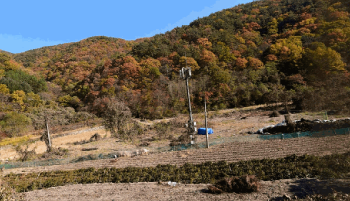 경상북도 경주시 산내면 내칠리 472 외 4 필지