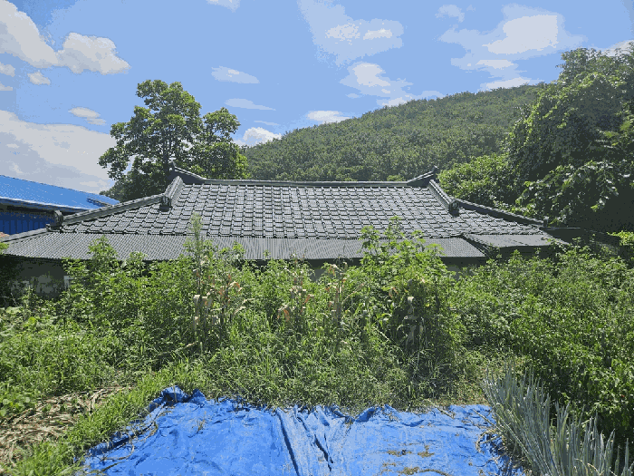 경상북도 경주시 현곡면 가정리 681