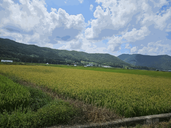 경상북도 경주시 산내면 외칠리 1009