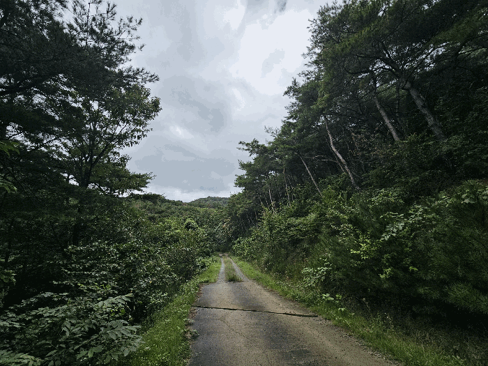 경상북도 경주시 용강동 산26