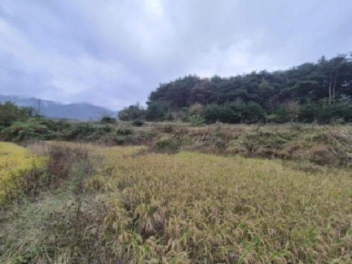 경상북도 경주시 외동읍 신계리 545 외 2 필지