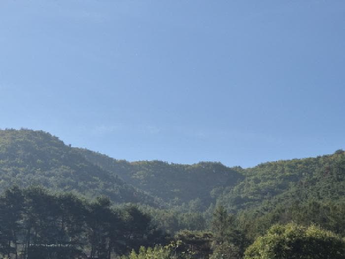 경상북도 경주시 내남면 안심리 산142