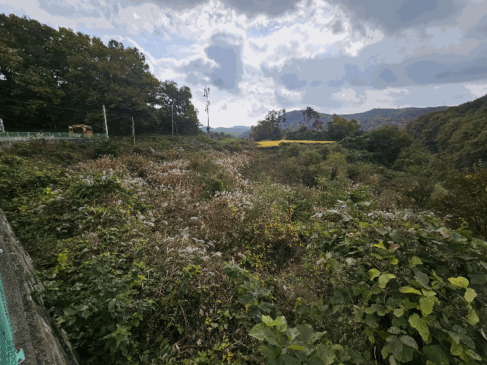 경상북도 경주시 양남면 효동리 1255