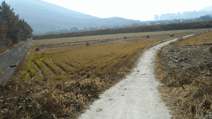 경상북도 경주시 효현동 1107 외 2 필지