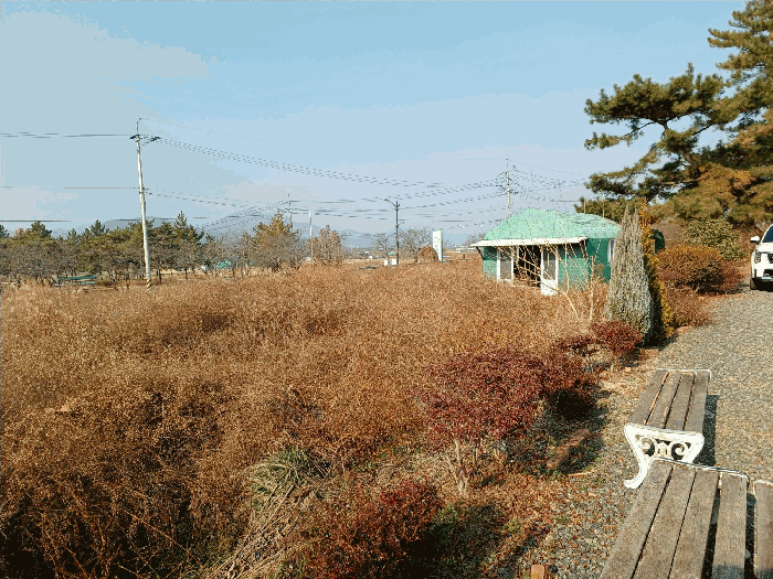 경상북도 경주시 배동 711-2