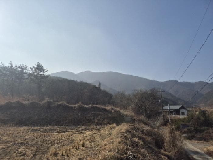 경상북도 경주시 현곡면 남사리 산133