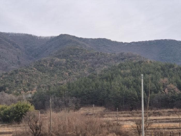 경상북도 경주시 건천읍 대곡리 산45-1
