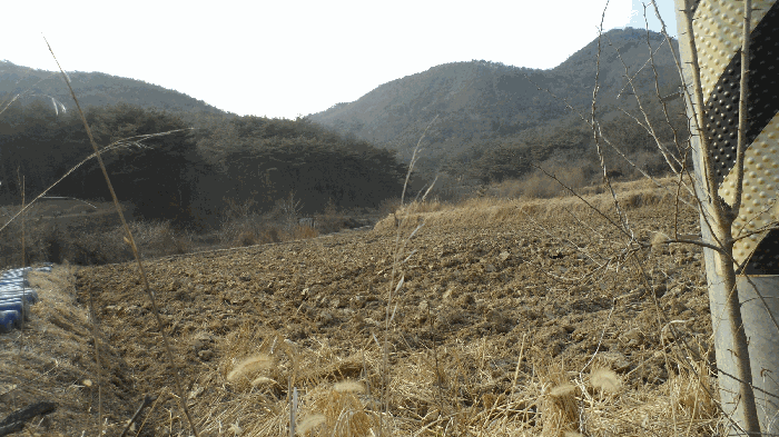 경상북도 경주시 내남면 덕천리 206-6 외 2 필지