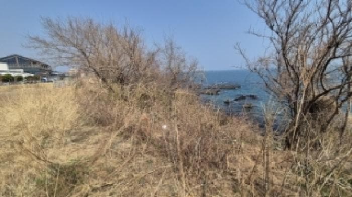 경상북도 경주시 양남면 하서리 3-2 김유환씨근린생활시설가동 외 2 필지 외 1개 동