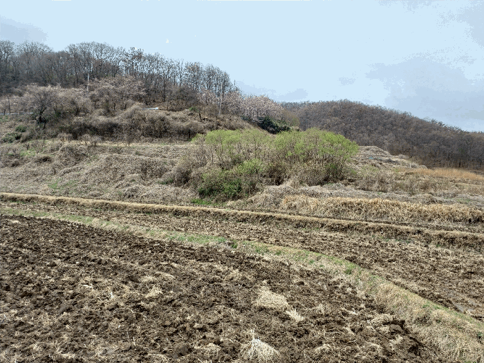 경상북도 경주시 감포읍 호동리 314 외 1 필지