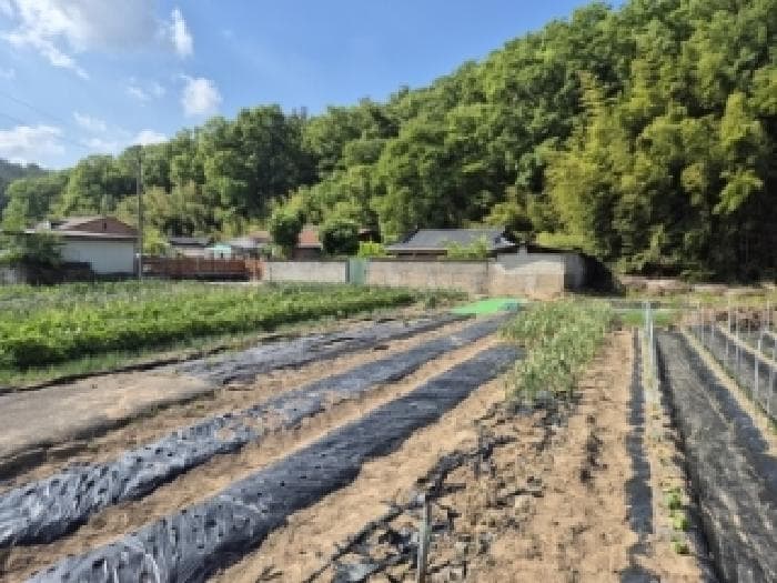 경상북도 경주시 건천읍 대곡리 1439-3 외 3 필지