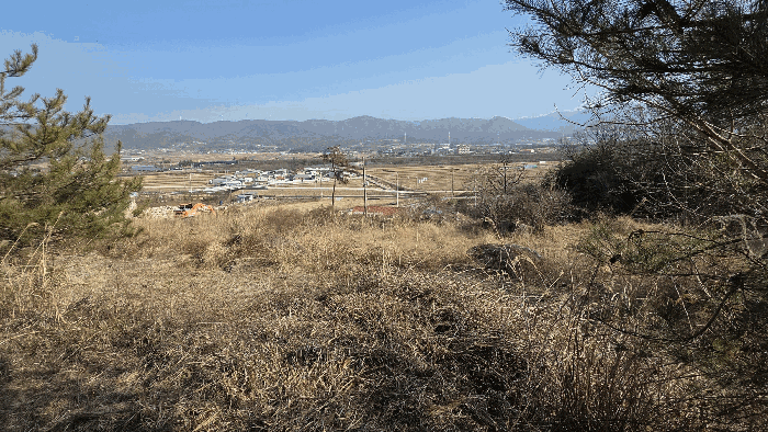 경상북도 경주시 외동읍 죽동리 184 외 2 필지