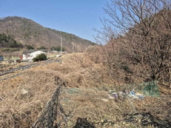 경상북도 경주시 서면 도계리 576