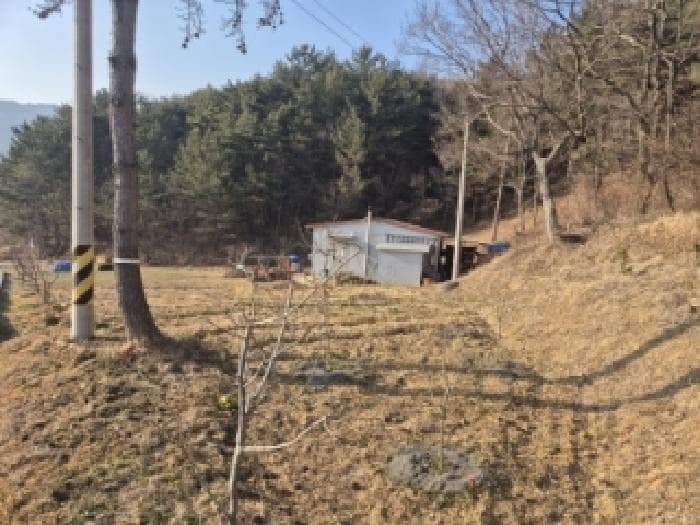 경상북도 경주시 내남면 비지리 382