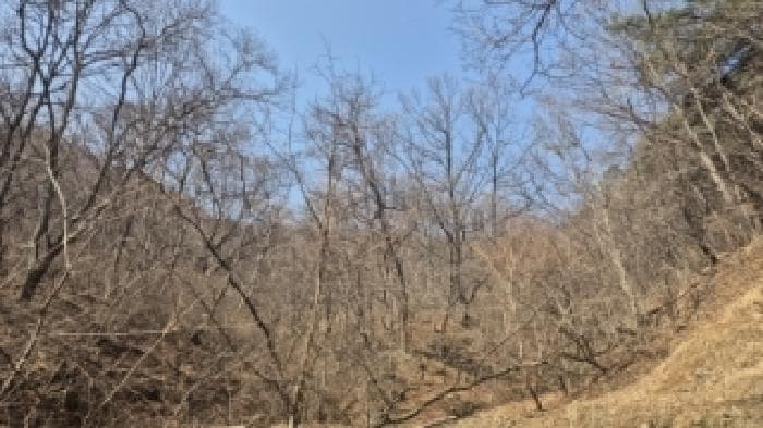 경상북도 경주시 내남면 안심리 395-7
