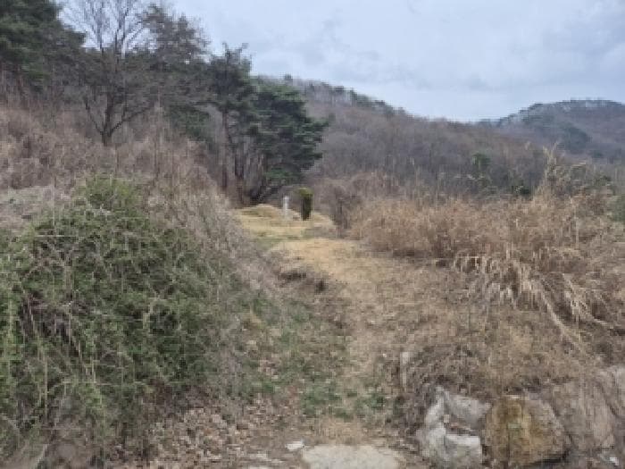 경상북도 경주시 산내면 내칠리 705 외 3 필지