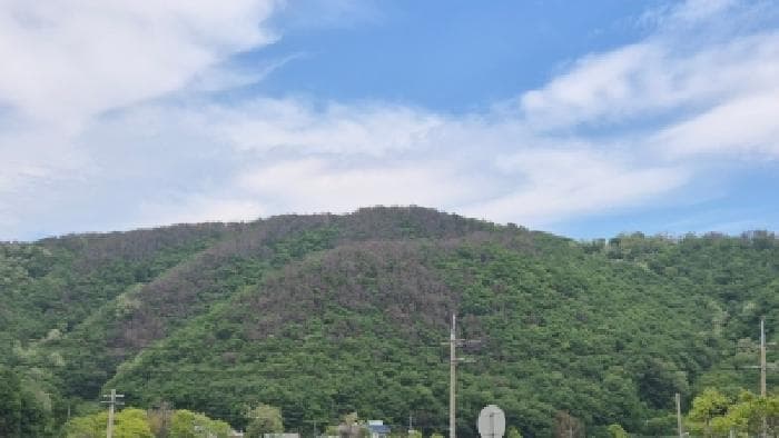 경상북도 경주시 감포읍 대본리 산111