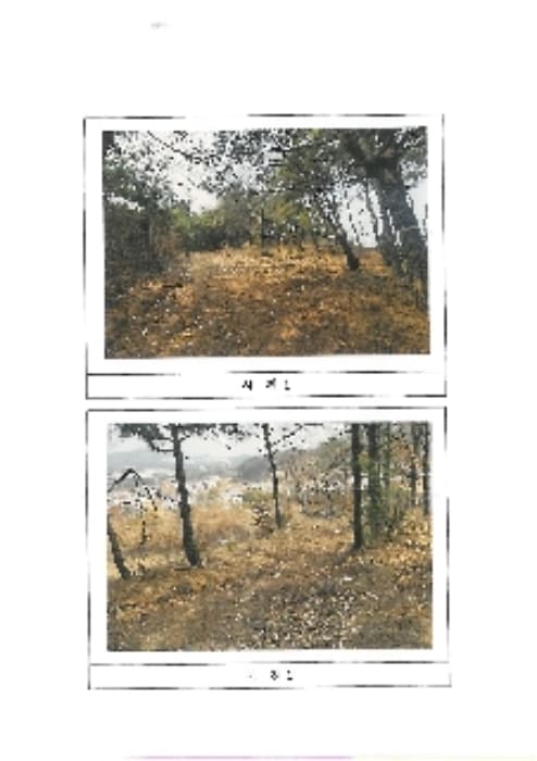 경상북도 김천시 아포읍 송천리 산126-37 외 1 필지