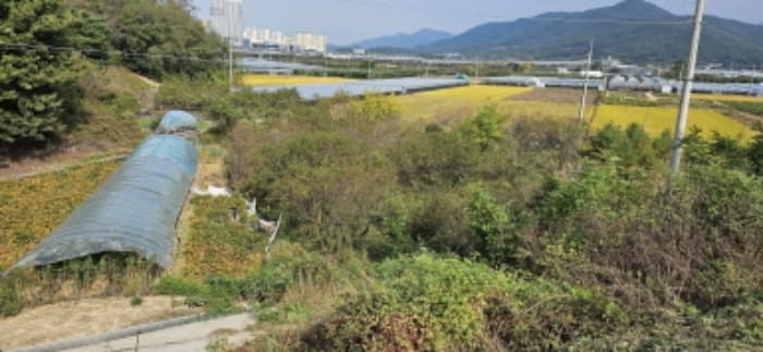 경상북도 김천시 농소면 월곡리 338