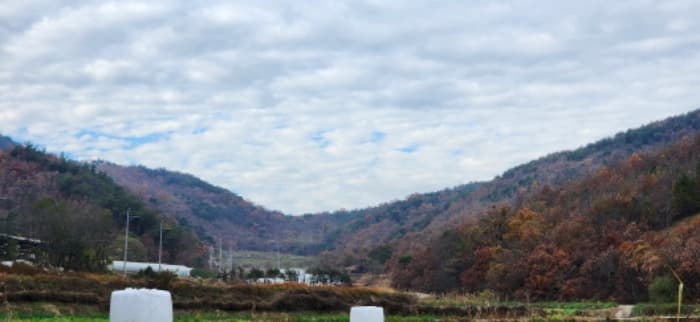 경상북도 구미시 장천면 명곡리 677