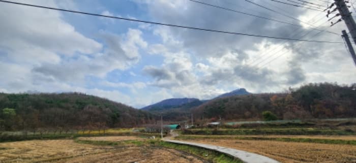 경상북도 구미시 금전동 산14-1