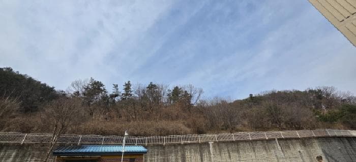 경상북도 구미시 선산읍 노상리 169